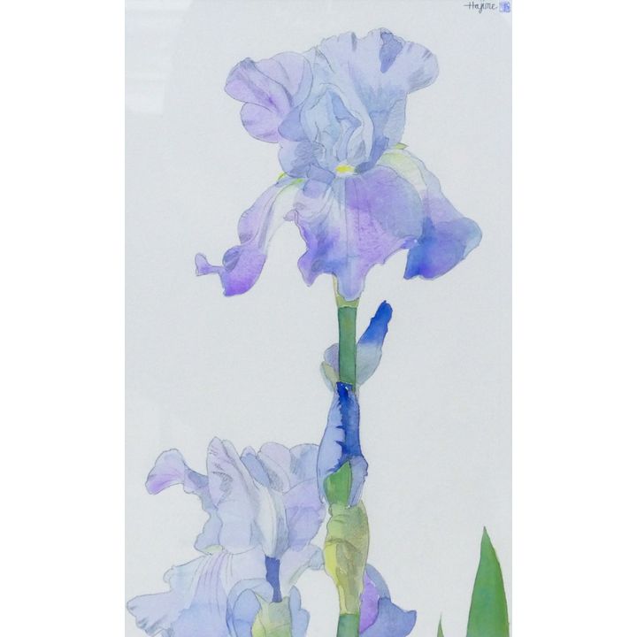 Hajime Kondo ''Blue Iris'' Watercolor on Paper Framed 25''x18''