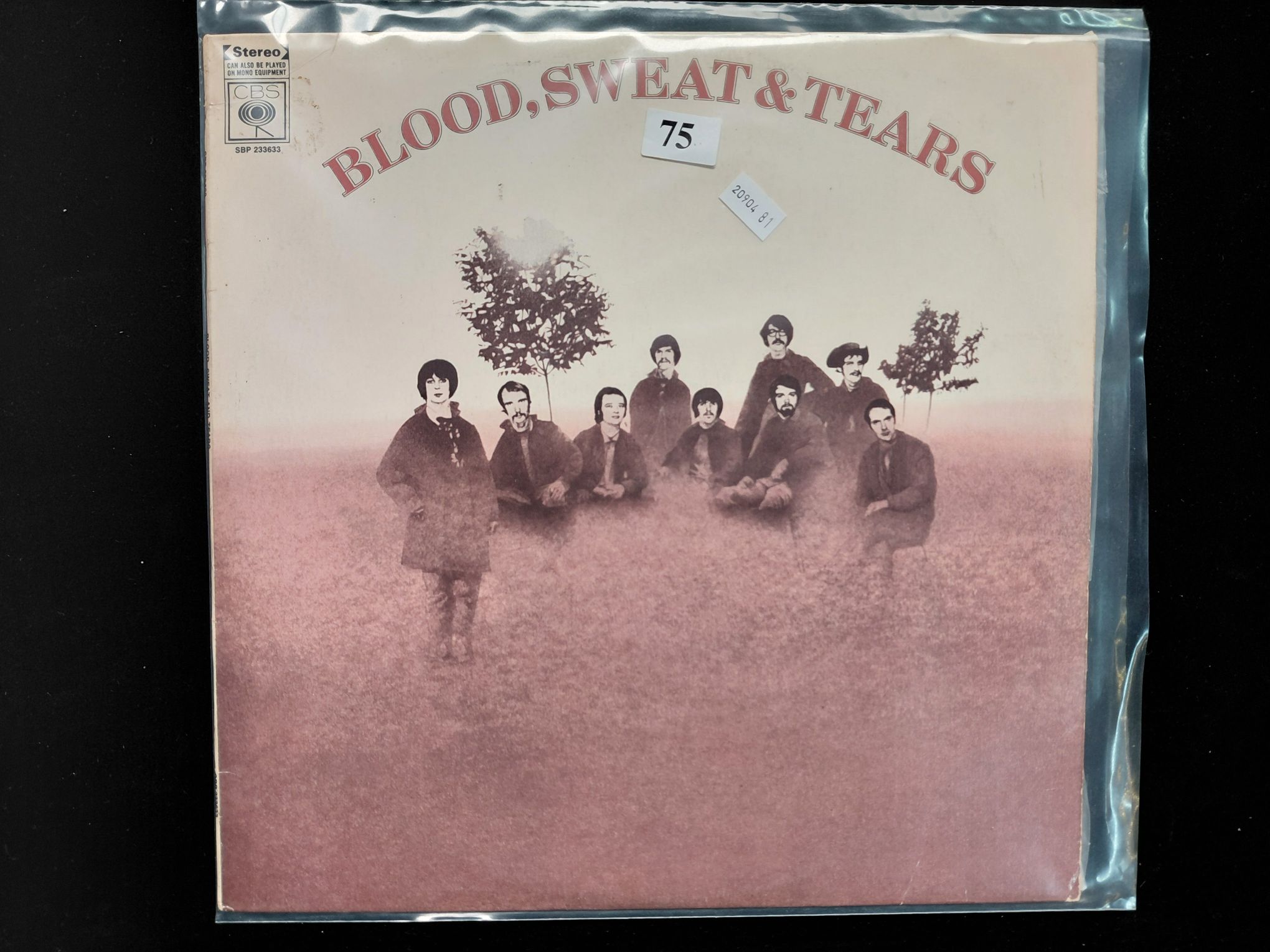 75 · BLOOD SWEAT AND TEARS