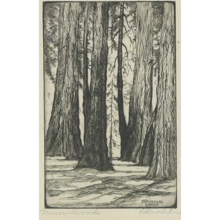 Harriet Roudebush  'Cathedral Grove, Muir Woods' Etching.