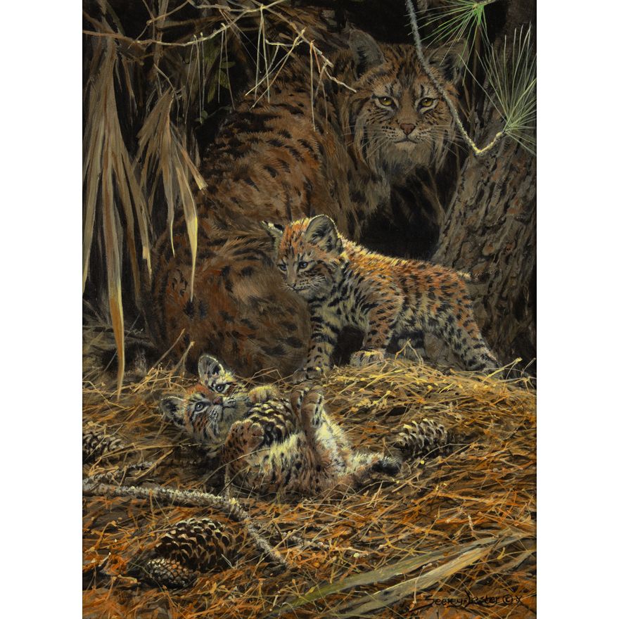 John Seerey-Lester (1946-2020): Miccosukee Playtime