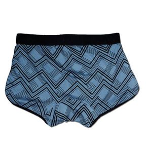 Nucleus Mens Boxer Briefs in Retro Blue Print Retro Blue M Men |