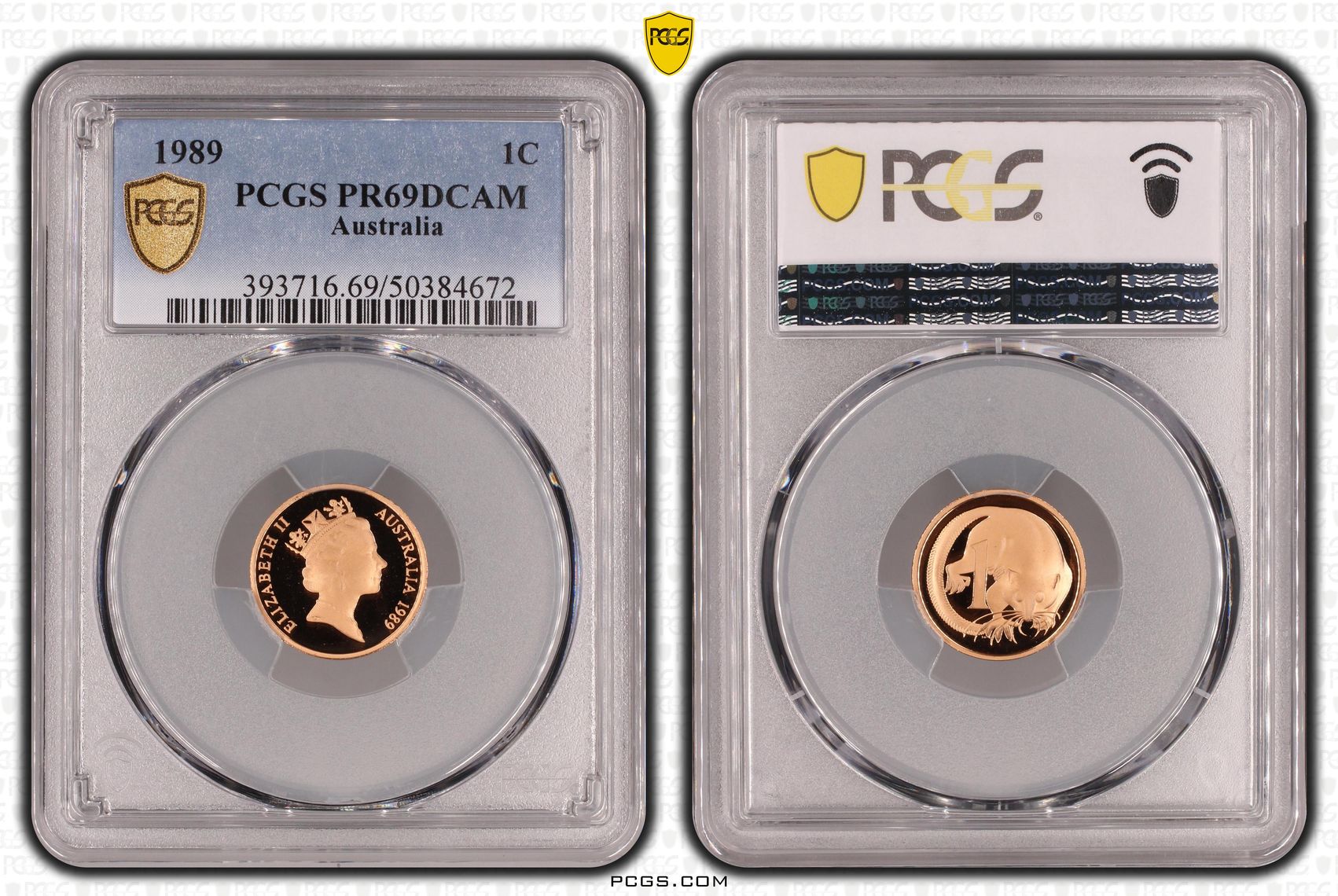One Cent, 1989, Pcgs Pr69dcam