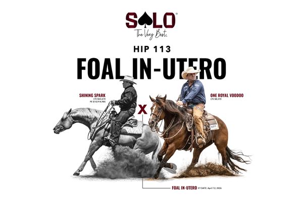 2027 embryo, Shining Spark x One Royal Voodoo, Lot 113 in the Solo Select October Sale