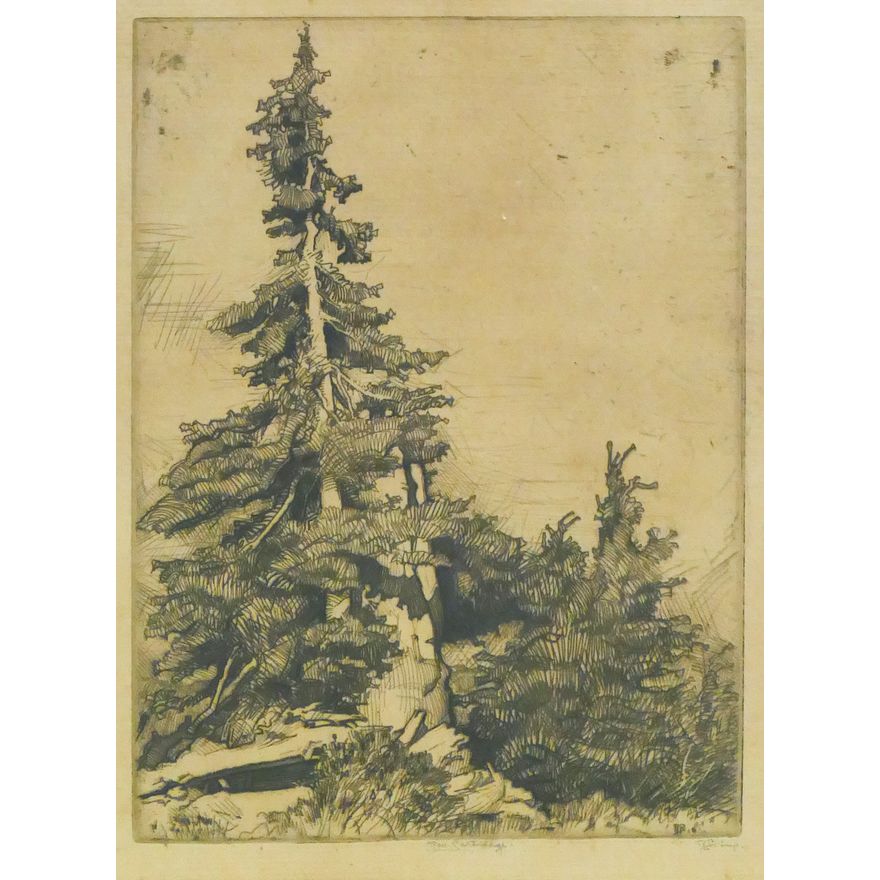 Roi Partridge 'Cascade Mountain Tree' Etching, 1915.