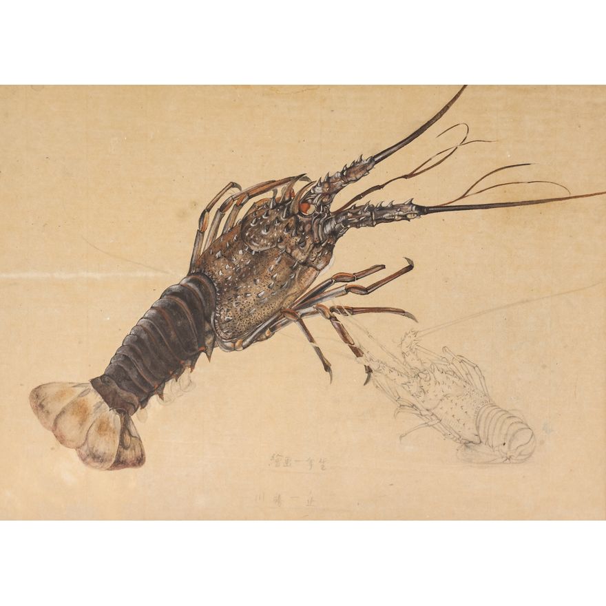 Antique Japanese Lobster Gouache Painting