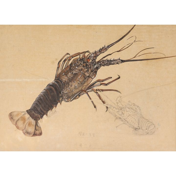 Antique Japanese Lobster Gouache Painting