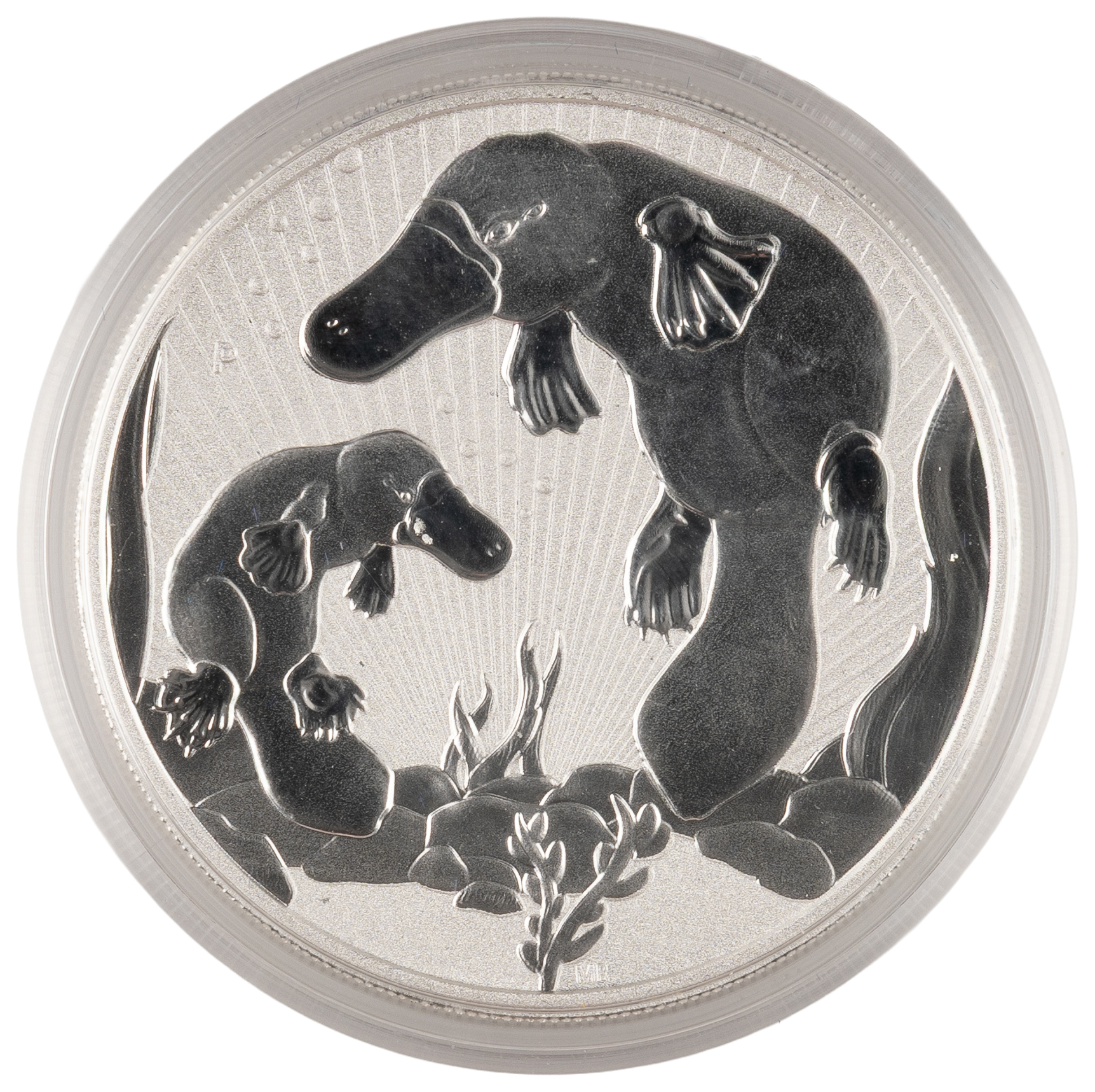 Elizabeth II, Perth Mint - Australian Platypus, Mother & Baby, Two Dollars, 2021-P, PCGS UNC