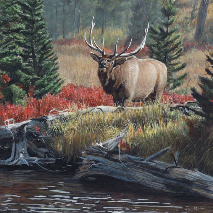 Terry Isaac (1958- ), Autumn Bugle