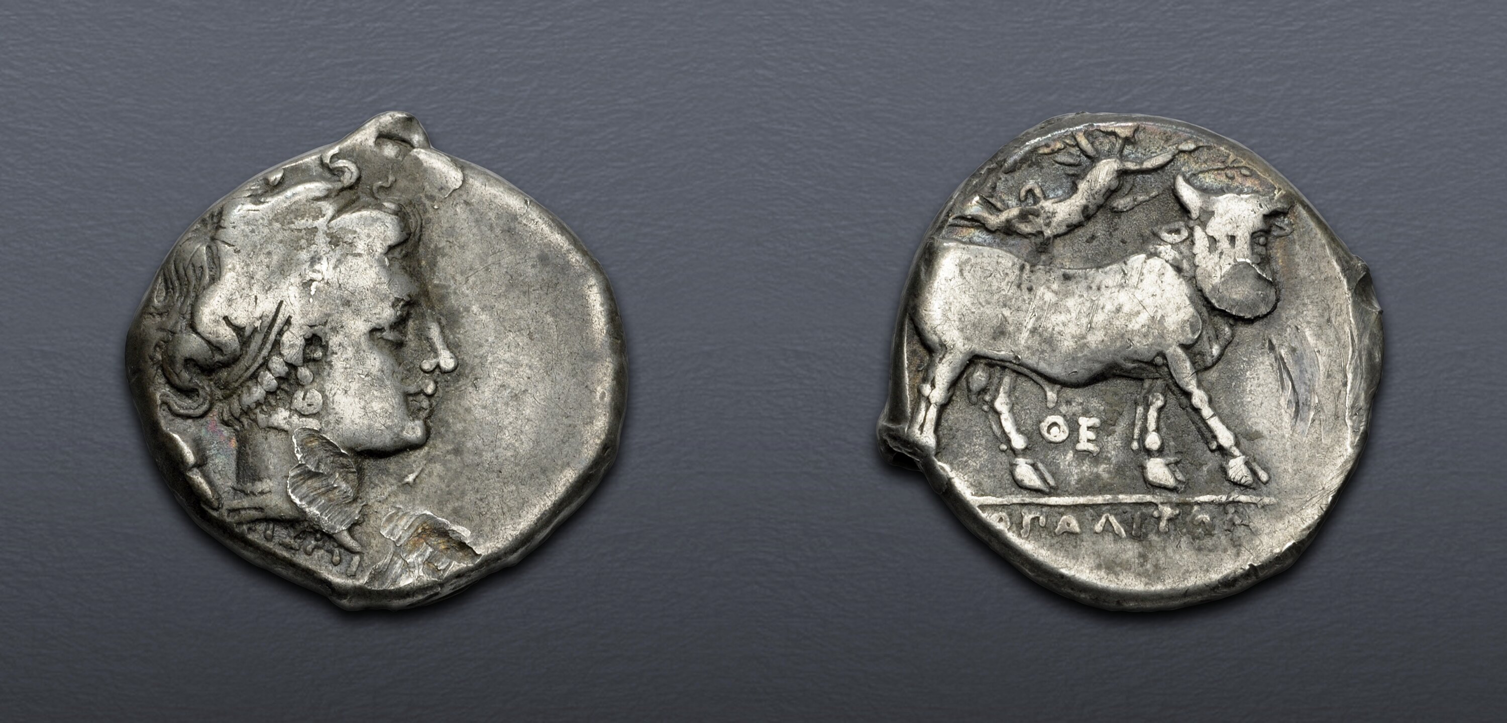 Silver Classical Acrobatic Band オ−ナメント CAMPANIA, Neapolis. Circa 300 BC. AR Nomos (20mm, 7.40 g, 4h). VF