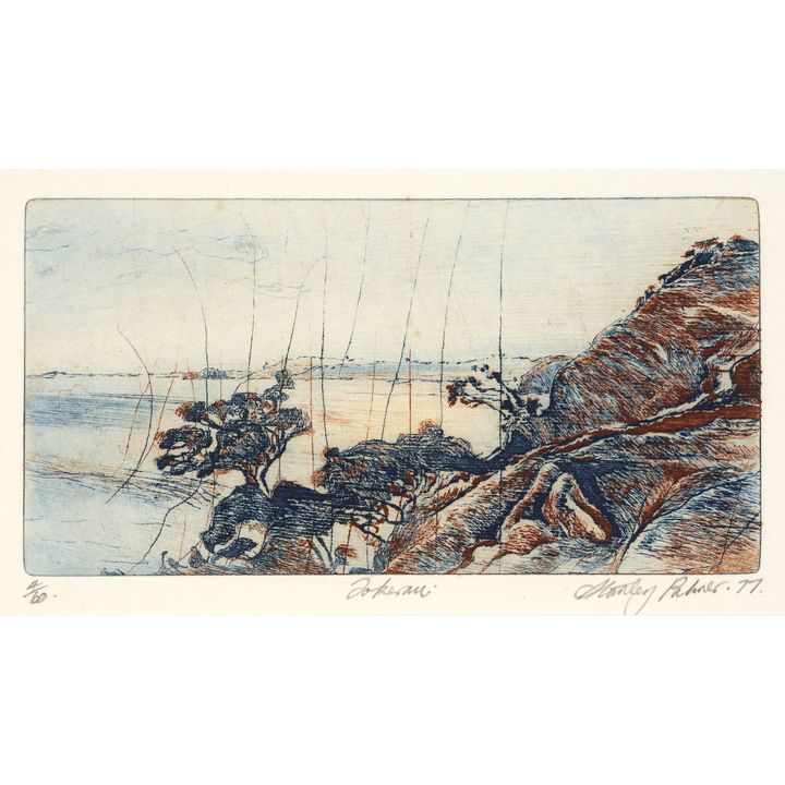 Stanley Palmer 'Tokerau'