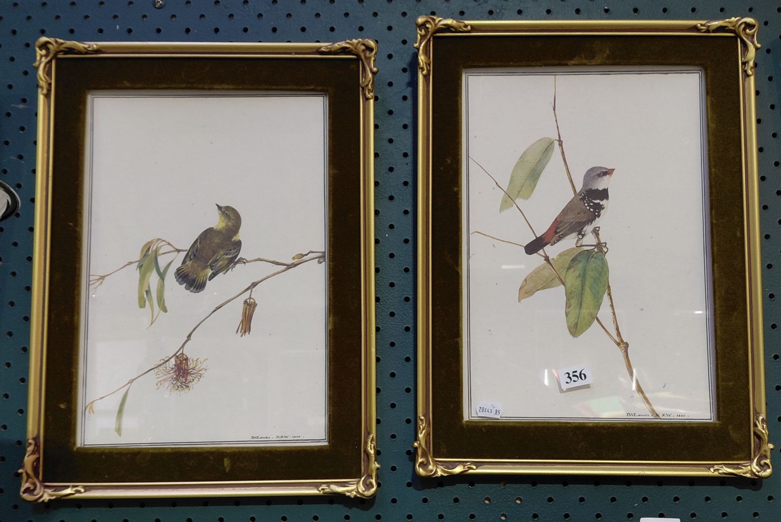 356 · BIRD PRINTS