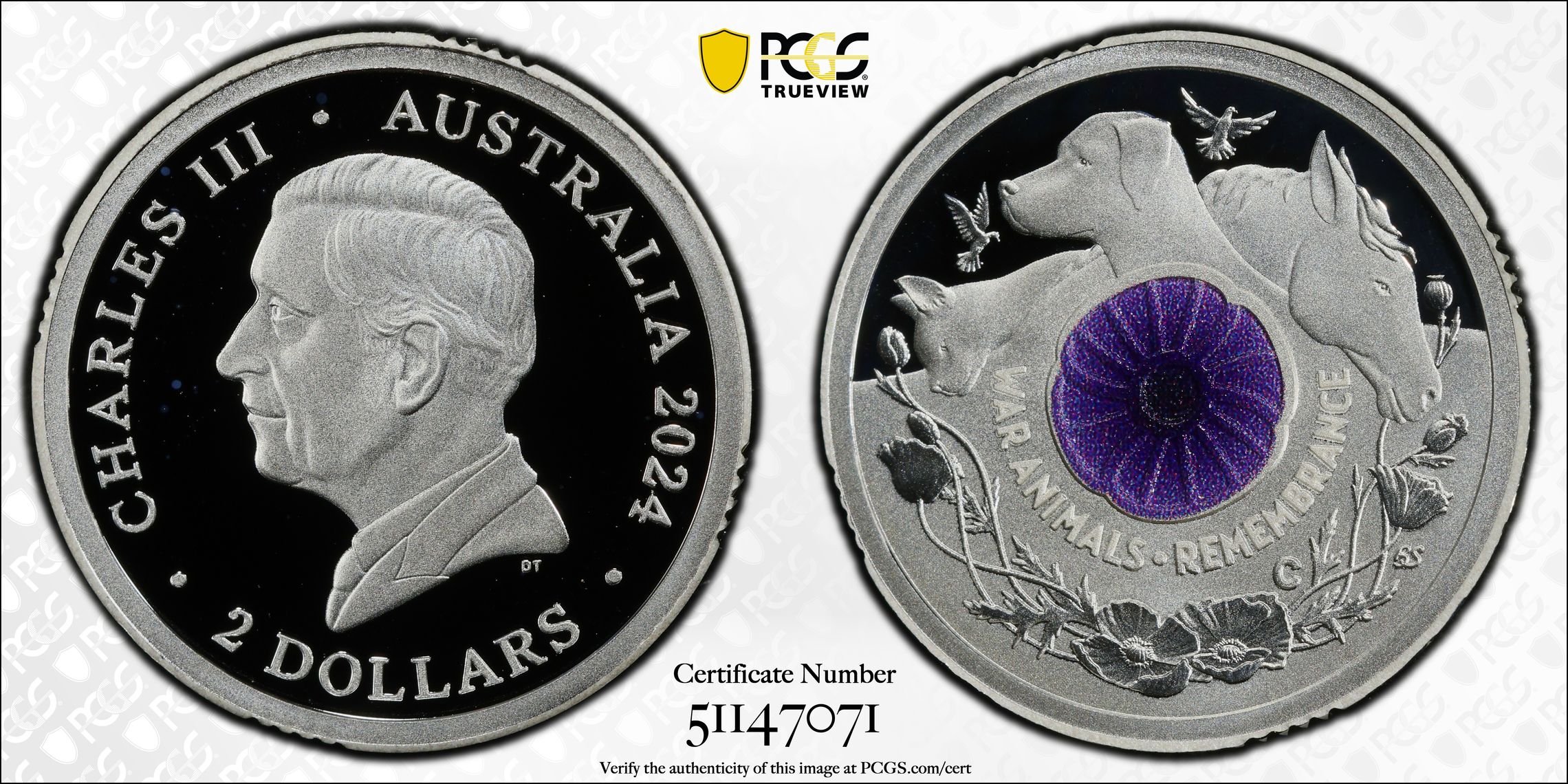 War Animal Remembrance Silver Colorized, Two Dollar, 2024-C, PCGS PR69DCAM