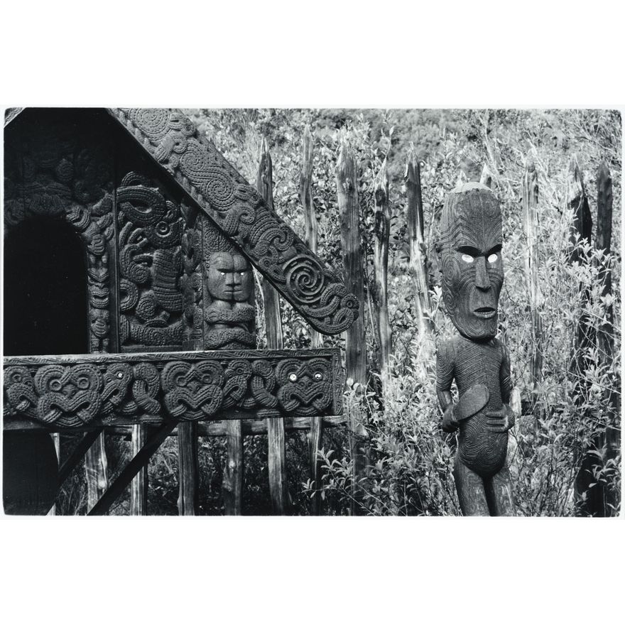 Peter Peryer 'Whakarewarewa'