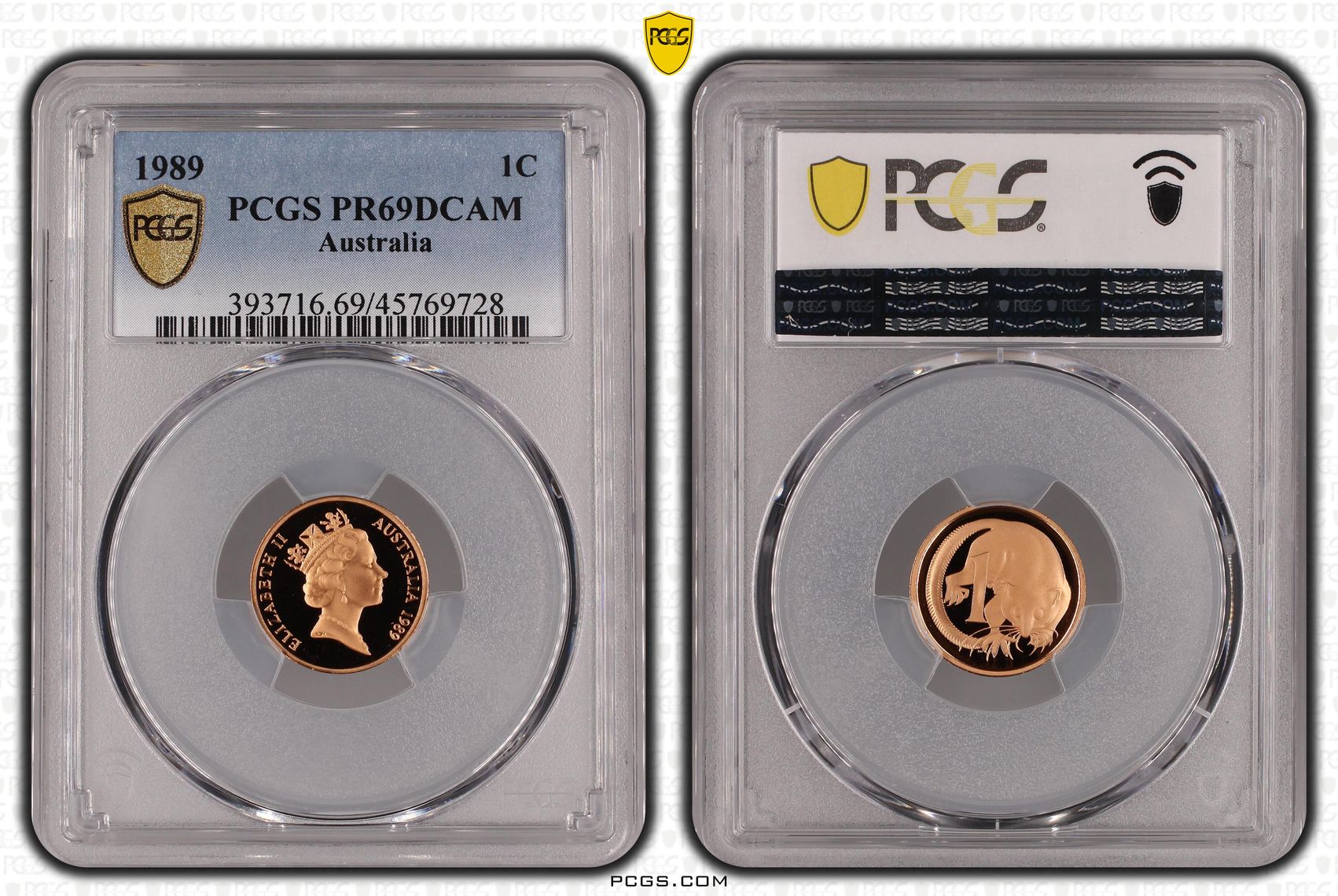 One Cent, 1989, Pcgs Pr69dcam