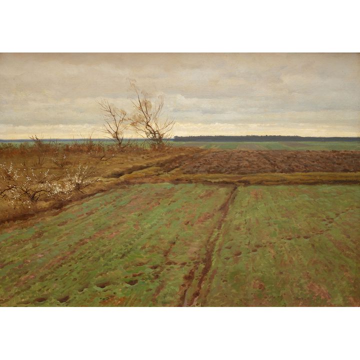Józef Rapacki | Przedwiośnie, 1914 r.