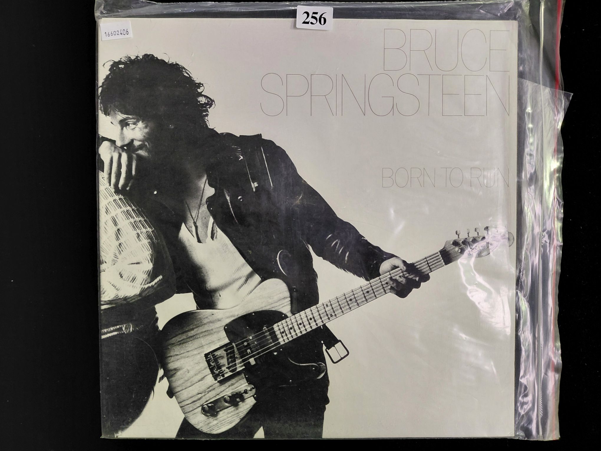 Bruce Springsteen