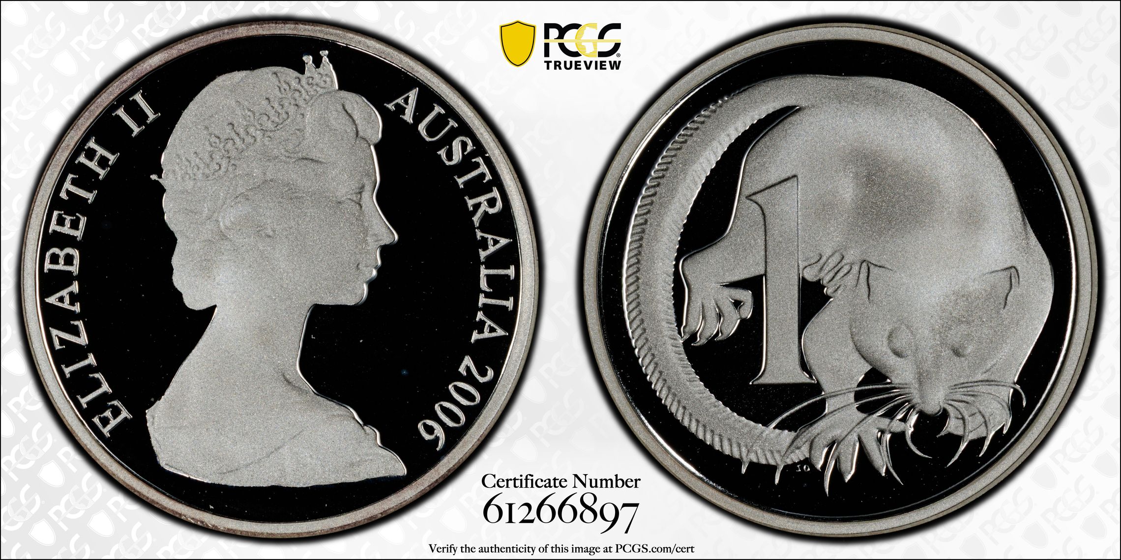 Young Bust Silver, One Cent, 2006, PCGS PR69DCAM
