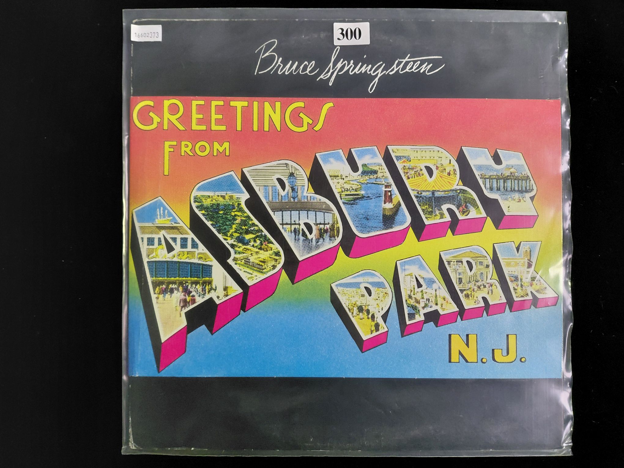 Bruce Springsteen