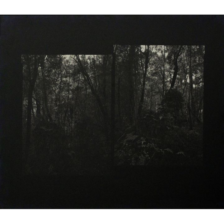 Mark Adams 'Dusky Sound'