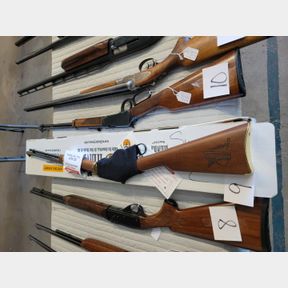 Henry Golden Boy Pheasant Forever Model H00PF 22