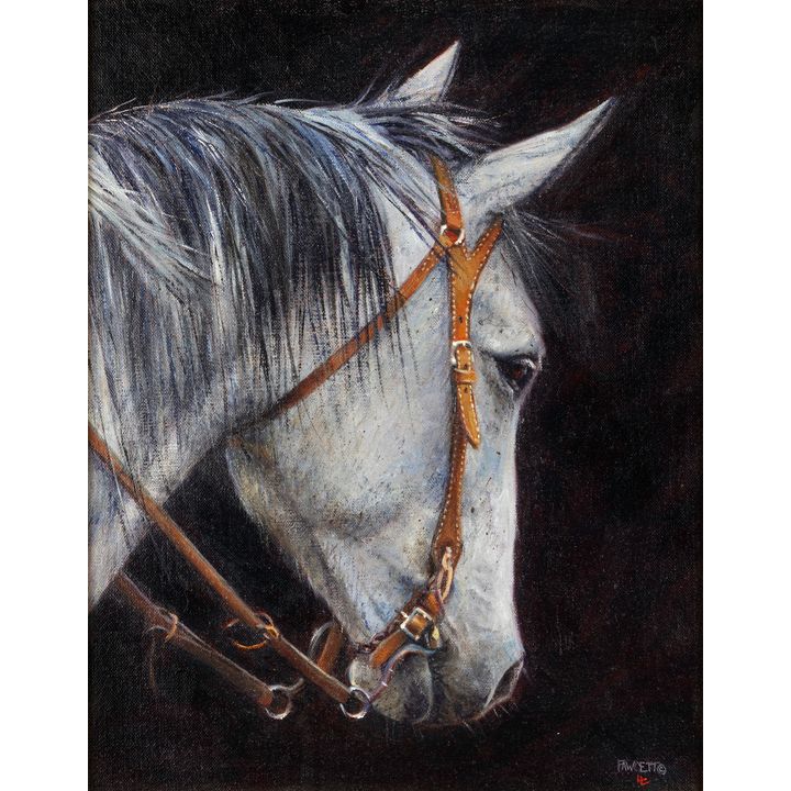 John Fawcett (1952- ), The Grey Gelding