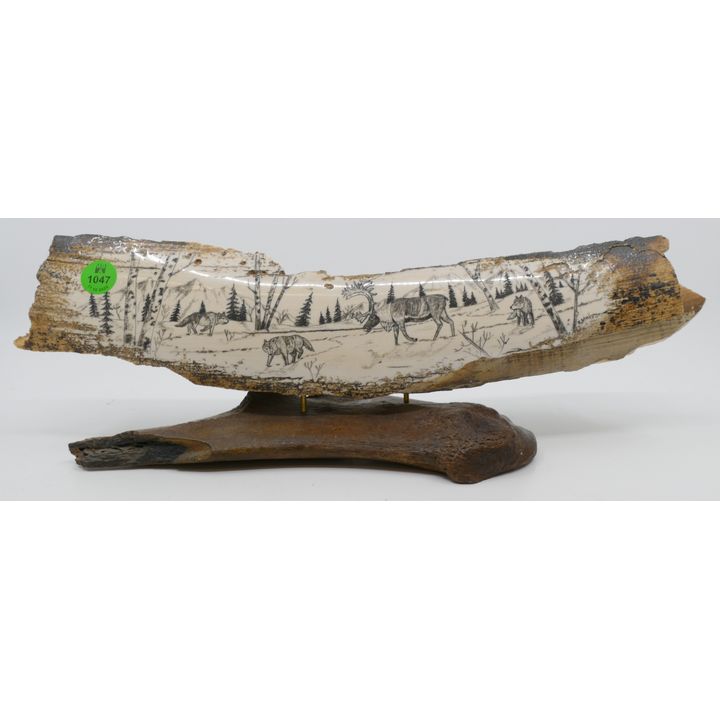 Alaskan Scrimshawed Caribou Wolf Hunt Tusk Fragment on Stand 15''
