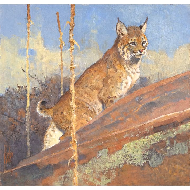 Bob Kuhn (1920-2007), Bobcat Study, 1998