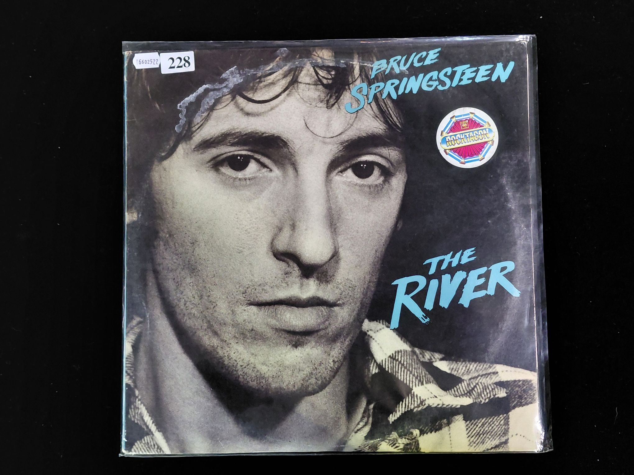 228 · BRUCE SPRINGSTEEN
