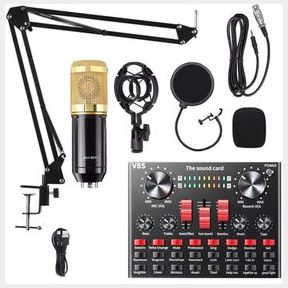 Professional Condenser Microphone BM800 Professional Condenser Microphone BM800 |