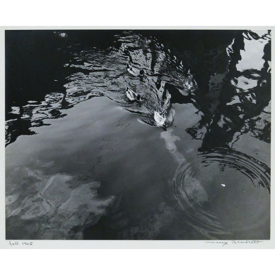 Mary Randlett ''Fall 1965'' (Ducks) Photograph Mounted 14''x11''
