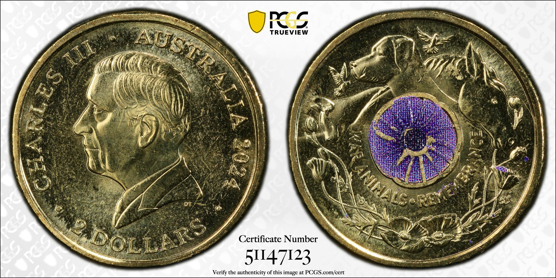 War Animal Remembrance Colorized , Two Dollar, 2024, PCGS MS66