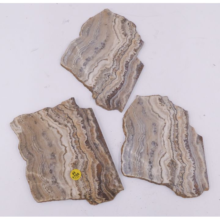 Box 3pc Travertine Slices- 8''