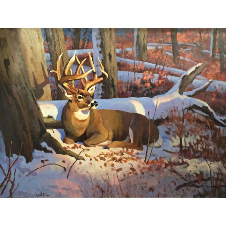 Dave Wade (1952- ), Bedded Down