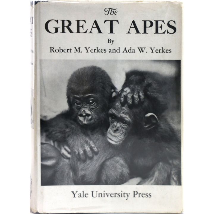 YERTES, ROBERT W. & ADA W., The great Apes. A Study of Anthropoid Life.