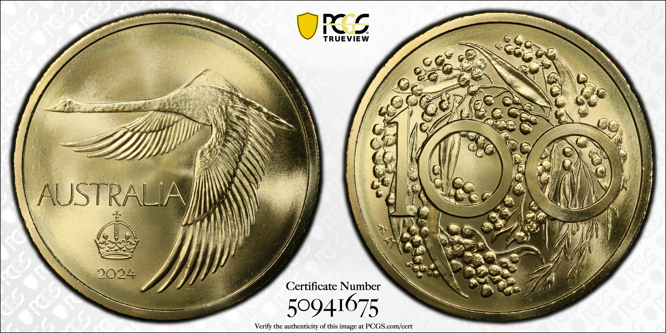 Swan "Pattern Dollar" AlBr ACR 60th Anniversary, Medal, 2024, PCGS MS67