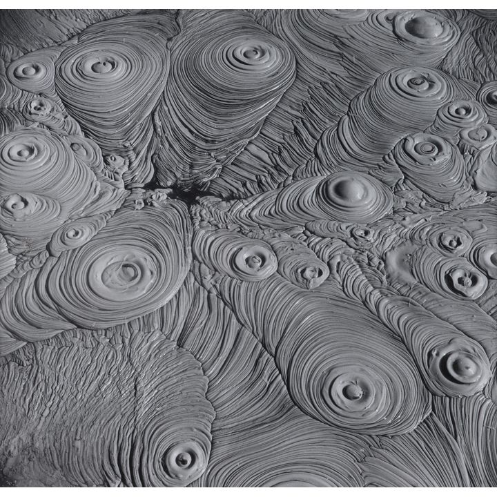 Theo Schoon 'Waiotapu Mudpool Study'