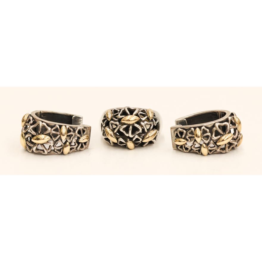 Zanfeld 14k Sterling Ring and Earring Set