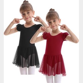 ULLNOY 2 PACK BALLET LEOTARDS FOR GIRLS DANCE TUTU DANCE TODDLER GIRLS BALLET DRESS WITH SKIRT