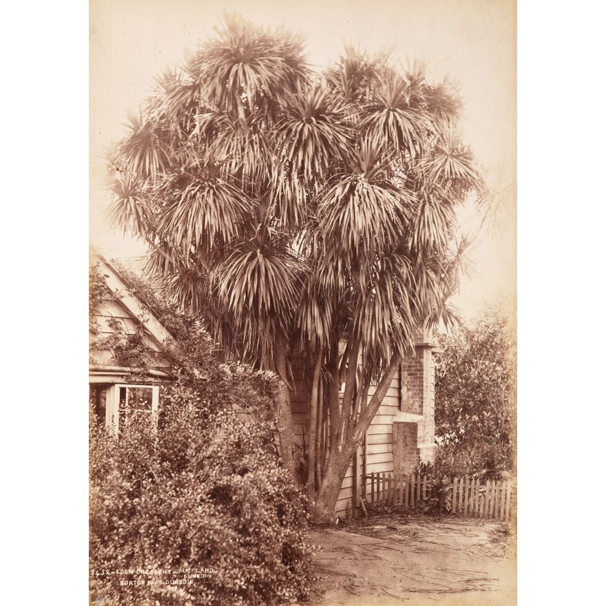 Burton Brothers 'Eden Crescent, Auckland'