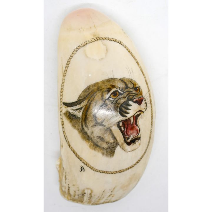 Inuit Scrimshawed ''Puma'' Tooth Signed J H  4''