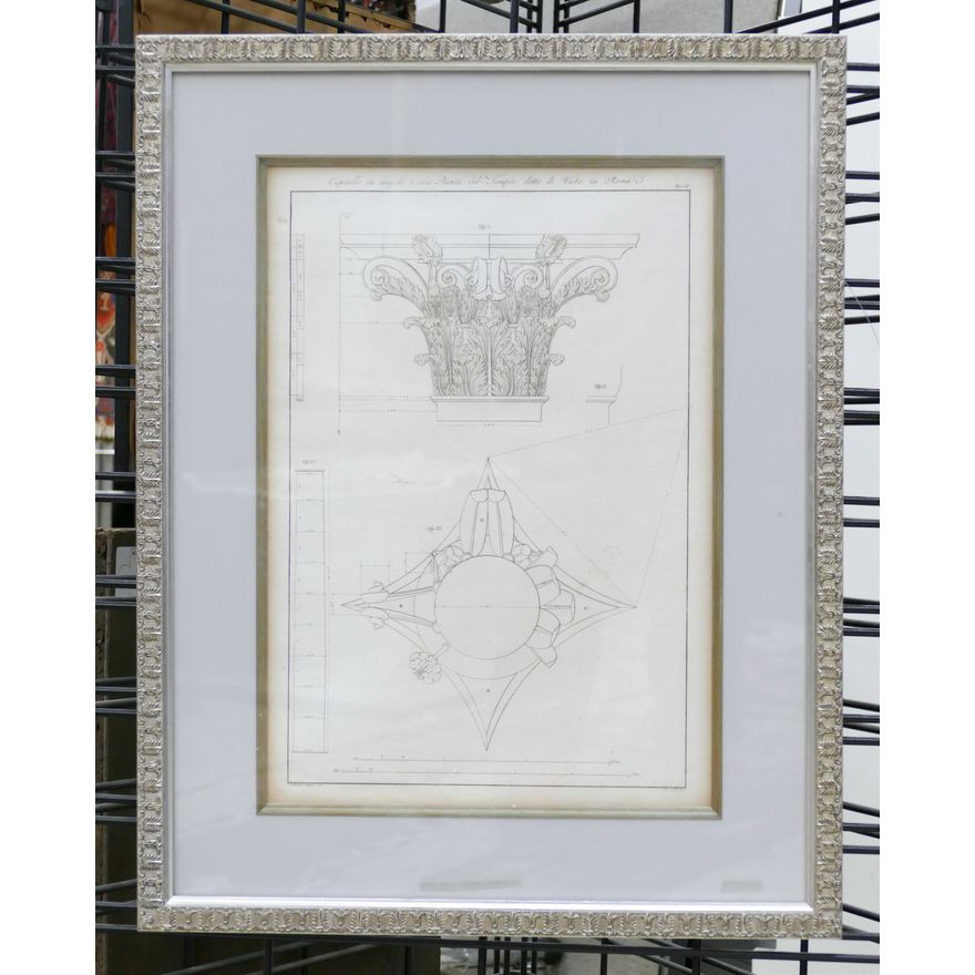 Antique Italian Corinthian Column Architectural Engraving