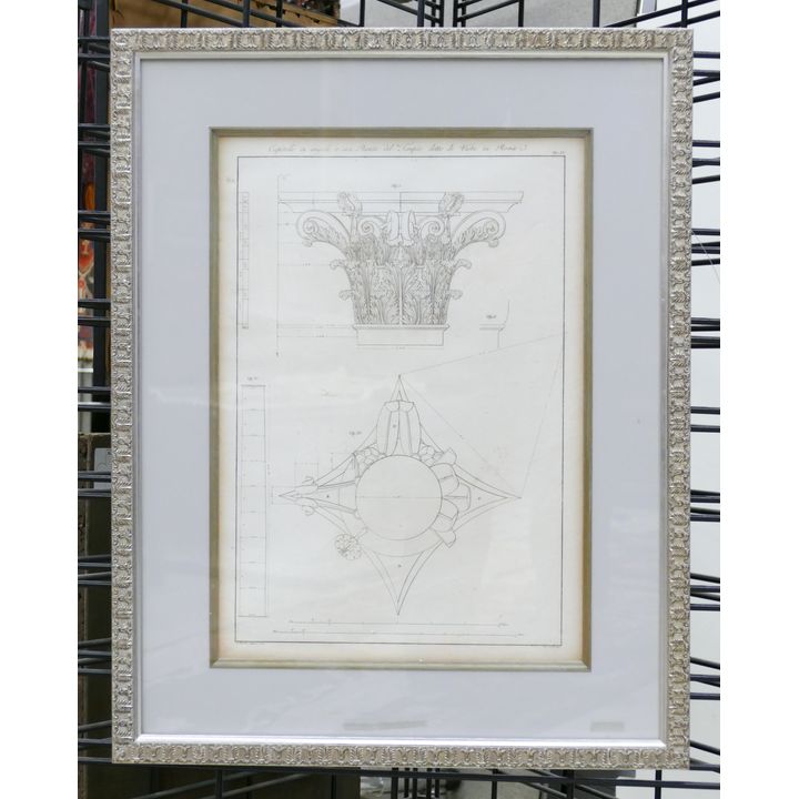Antique Italian Corinthian Column Architectural Engraving