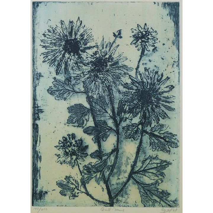 Ruth Cyril (1938-1988 New York) 'Quill Mums' AAA Etching, 1969.