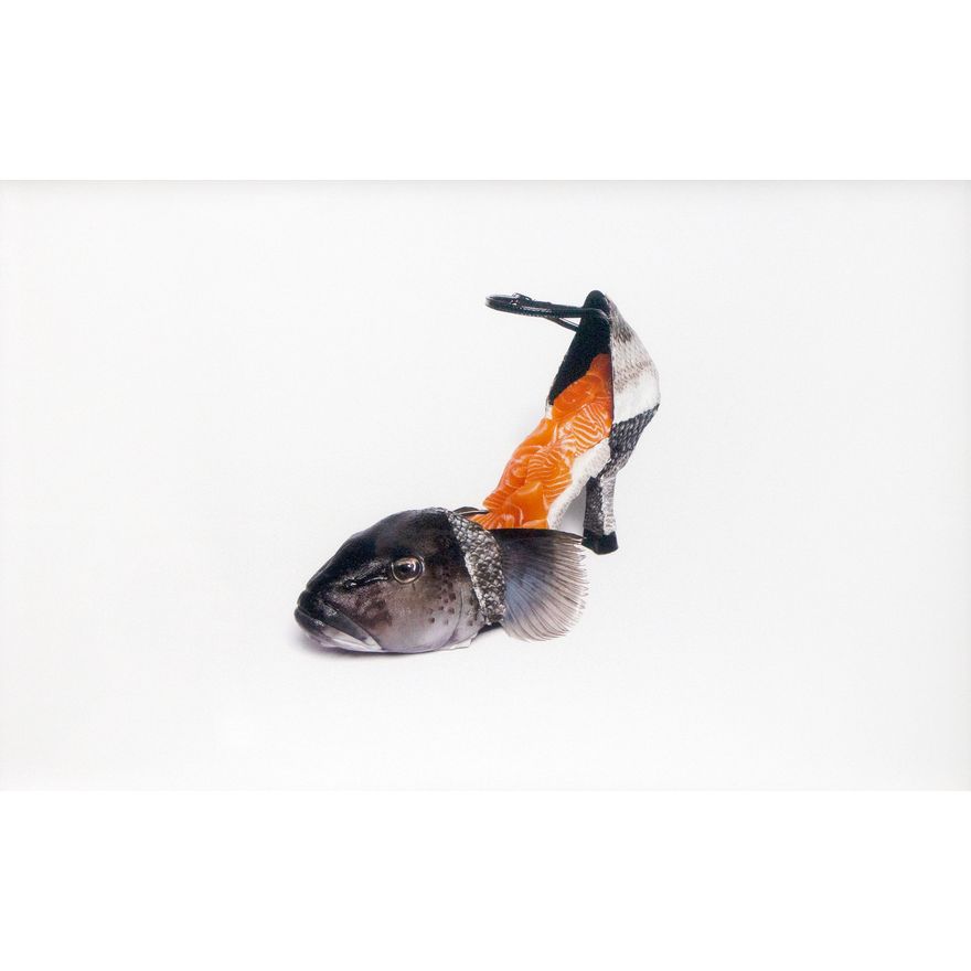 Niki Hill 'Blue Cod Dress Shoes with Farm-raised Salmon'