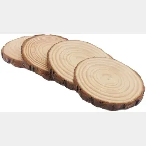 Natural Wood Slices with Bark for DIY Painting Plate (Set of 11) |