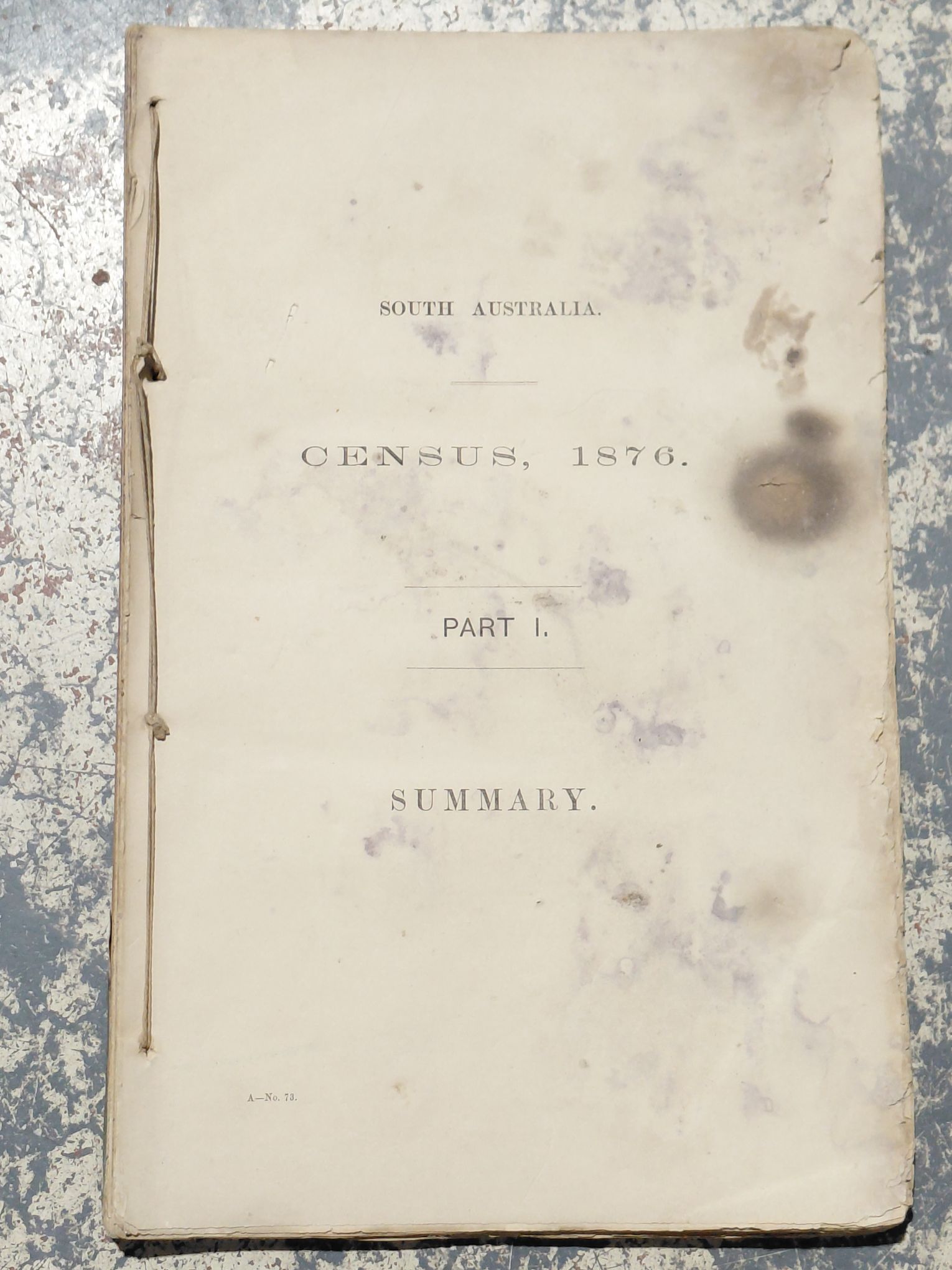 483 · SA CENSUS 1876