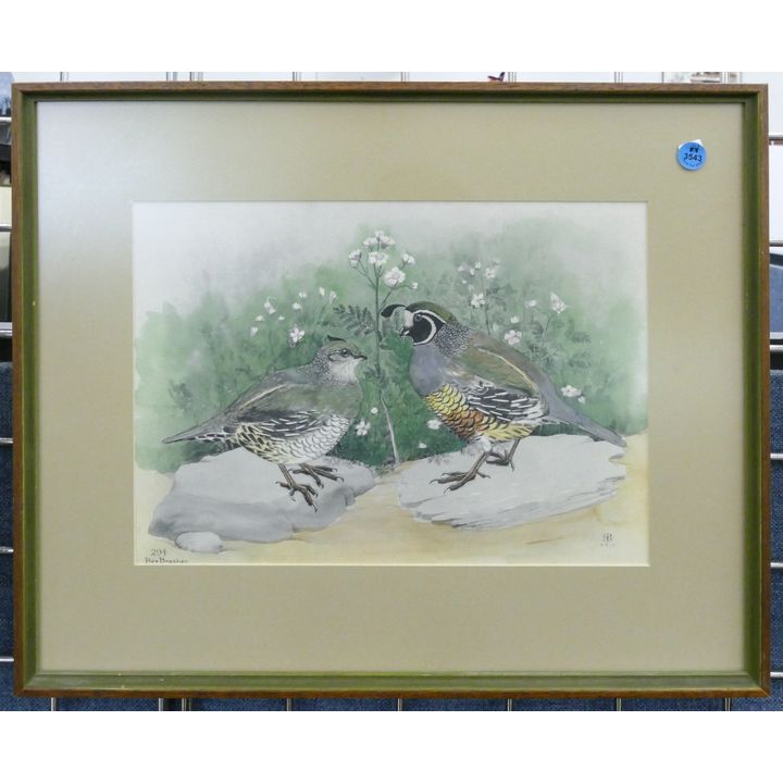Antique Red Brasher Quail Tinted Engraving Framed 15''x20''