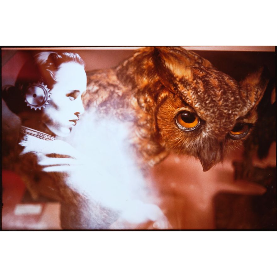 Deborah Smith 'The Pursuit of Game (III)'