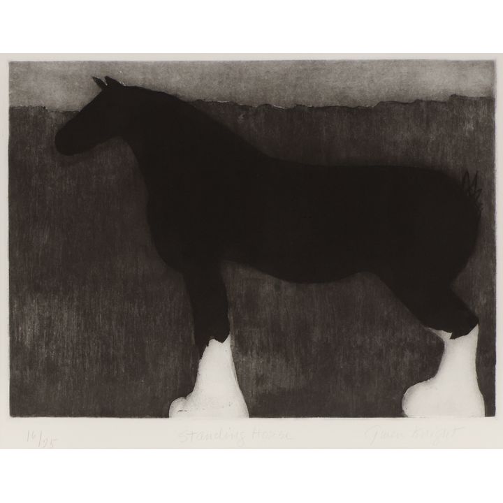 Gwendolyn Knight ''Standing Horse'' Etching