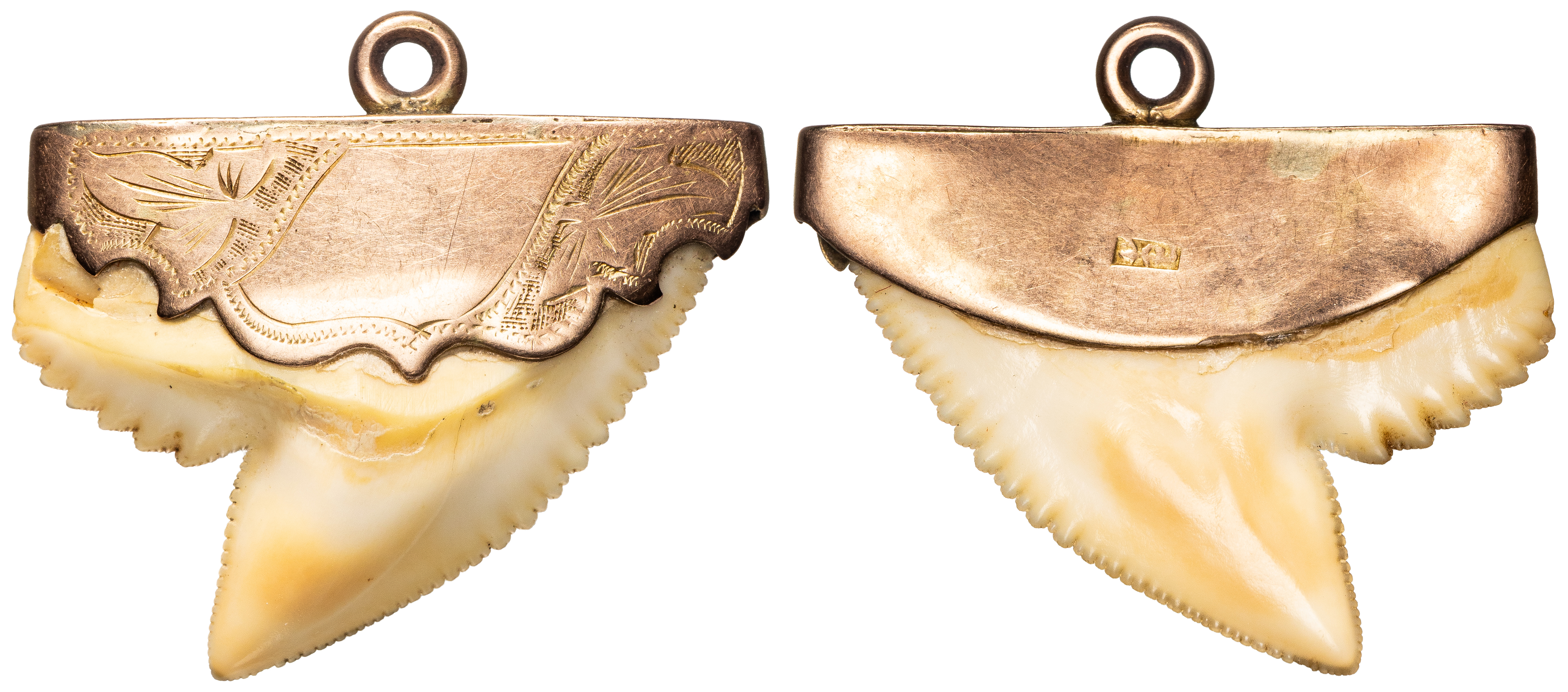 48 · Shark Tooth, 9ct Pendant